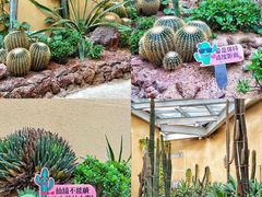 -正佳雨林生态植物园