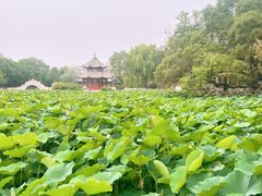 -莲池书院博物馆