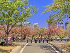 -西北湖绿化广场