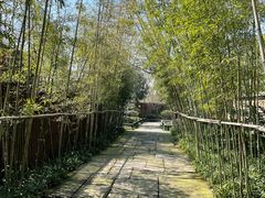 -新荣记(西溪湿地店)