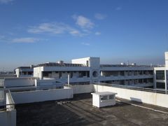 -顺德职业技术大学