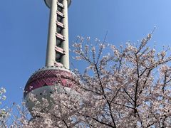 -东方明珠广播电视塔