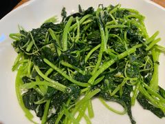 -宁波柏悦酒店·钱湖渔港