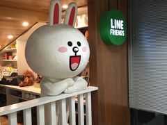 -line friends(明洞旗舰店)