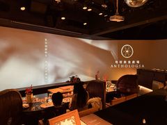 -地球美食剧场