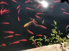 -红螺寺