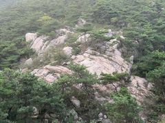 -松月湖大酒店