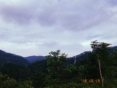 -田心森林公园