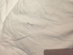 -杭州温德姆至尊豪廷大酒店