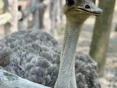 -昆山城市生态森林公园