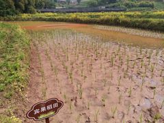 -宾果蒙特梭利托育儿童之家幼儿园(爱琴海店)