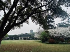 -浙江西子宾馆·瑶园咖啡厅