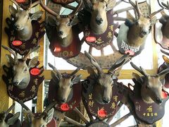 -乔家满族八大碗(流水沟店)