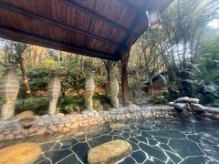 -明月山天沐温泉度假村