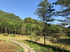 -塔云山