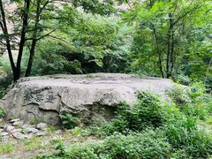 -少华山国家森林公园