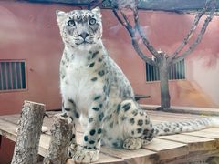 -青藏高原野生动物园