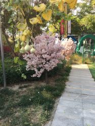 -萌宠亲子动物乐园(槐房万达店)