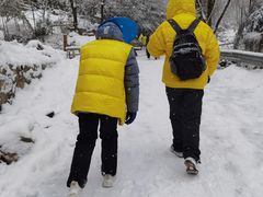 -秦岭风景区