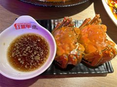 清蒸大闸蟹-红盔甲·小龙虾(车公庙店)