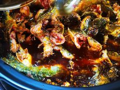 -金海椒罐罐鲢鱼(东方桂苑店)