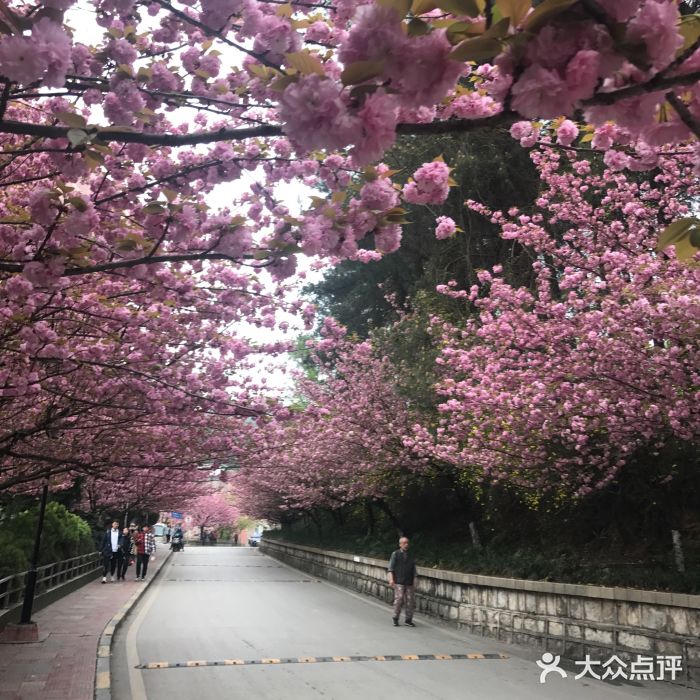 贵州财经大学(鹿冲关校区)图片