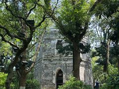 -江心屿景区