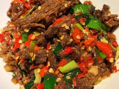 辣炒牛腩-壹盏灯(惠农店)