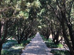 -洛阳古墓博物馆