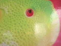 -永安鱼庄·镇江菜(丁卯店)