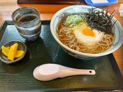 -白川乡手打荞麦面