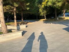 -秦始皇帝陵博物院-丽山园