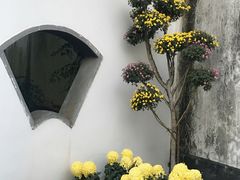 -上海醉白池公园