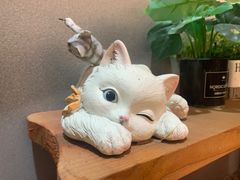 -袖虎猫馆(十亩地店)