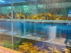 -碗中海·蒸汽海鲜·桑拿鸡(岭南天地店)