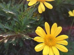 -新达口腔(华东理工大学店)