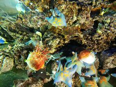 -华夏文旅西安度假区