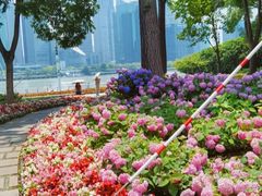 -北外滩滨江绿地