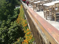 景观位-鲤鱼塘农家山庄