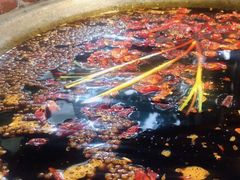 -铜元老码头鳝鱼火锅