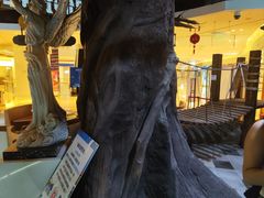 -暴风岛沉浸式体验馆(百联世纪店)
