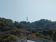 -福道