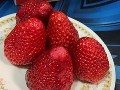 -青浦采草莓天天草莓园