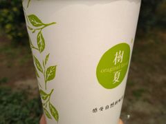 黑丸厚椰奶-树夏(金楠天街店)