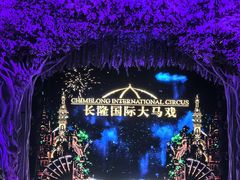 -广州长隆国际大马戏