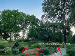 -东莞植物园