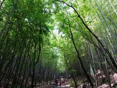 -穹窿山景区
