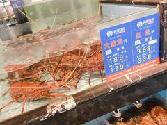 -尚海豆捞(乐虹坊店)