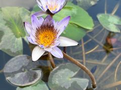 -凯威大酒店(海口秀英码头店)