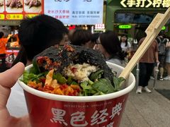 -黑色经典臭豆腐·湖南特产(步行街店)